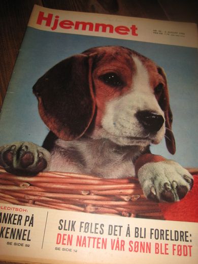 1966 nr 032 Hjemmet