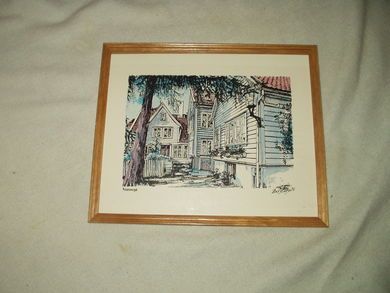 Bilde i glass og ramme ROSESMUGET i Bergen 1976