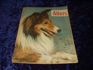 1954 nr 013 Allers
