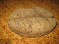 Flytekork brukt ved garnfiske i gamle dager ca 19 cm i diameter 50 tallet