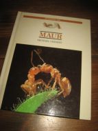 CHINERY: MAUR. 1991. 