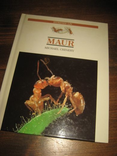CHINERY: MAUR 1991