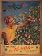 1953,nr 035, SKIB O HOI.