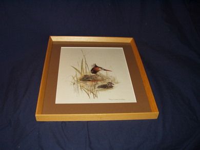 Mats Stage fuglebilder fra 60-70 tallet