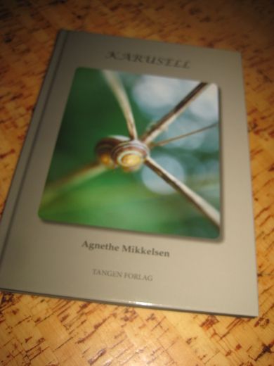 Mikkelsen: KARUSELL. 2013.