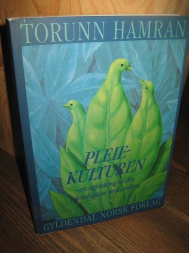 HAMRAN: PLEIE KULTUREN- en utfordring til den teknologiske tenkemåten 1991