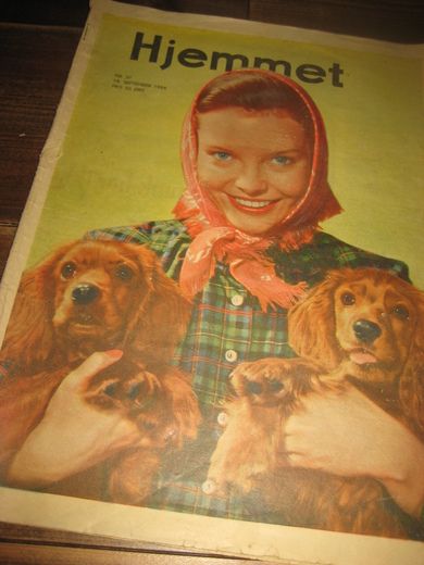 1954 nr 037 Hjemmet