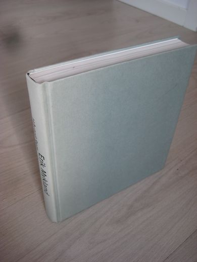 REM HÅVARD: ERIK MYKLAND 2000