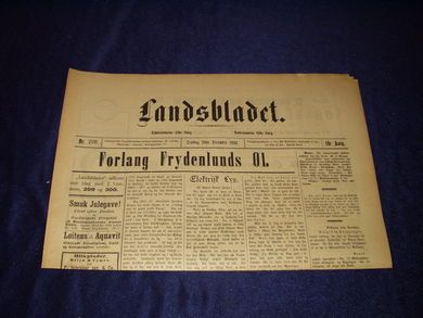 1893 nr 299 Landsbladet