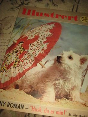 1962 nr 030 ILLUSTRERT