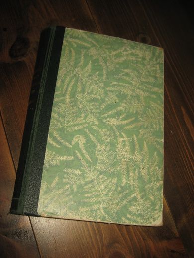 1966 NORSK BARNEBLAD Innbunden årgang