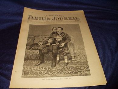 1893 nr 041 Illustrert Familie - Journal