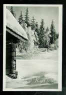 Hytte i skogen, nyttårskort fra 40 tallet.