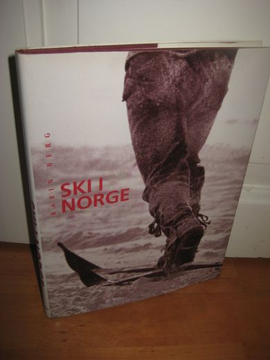 BERG SKI I NORGE 1993