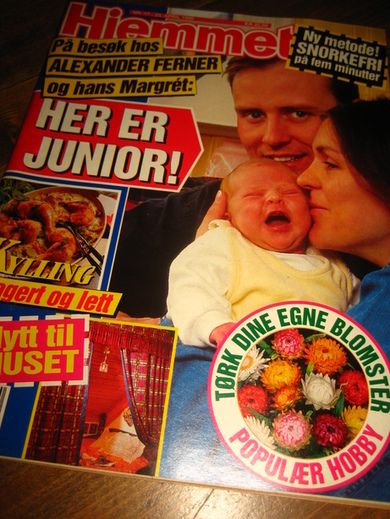 1996 nr 017 Hjemmet