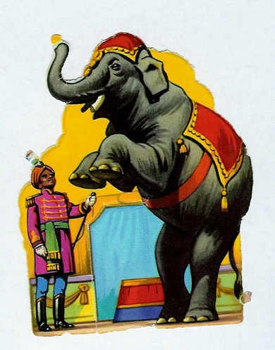 Sirkuselefant