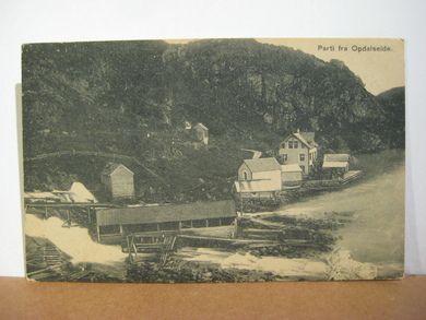 Parti fra Opdalseide