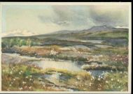 Fra høyfjellet