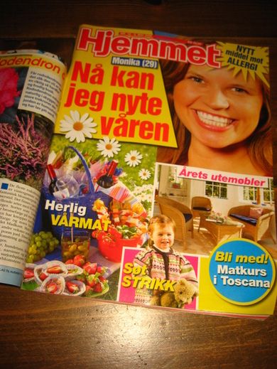 2006 nr 019 Hjemmet