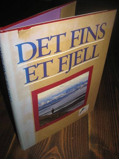 DET FINNS ET FJELL 1992