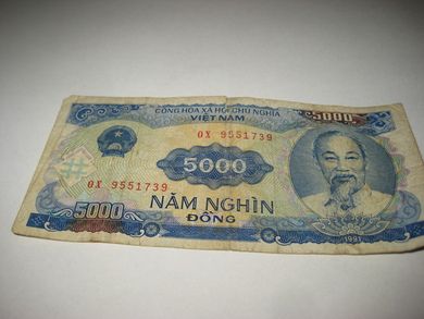 1991 5000 DONG OX 9551739