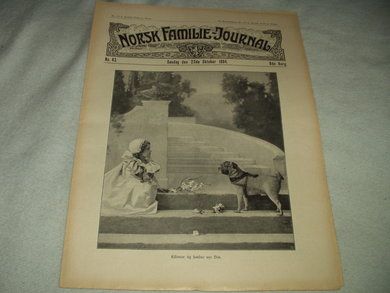 1904 nr 043 NORSK FAMILIE JOURNAL