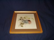 Mats Stage fuglebilder fra 60-70 tallet