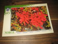 045 LOOC 1991 Fargeprakt i høstfjellet