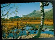 Høst i fjellet. GOL 7.8.90.