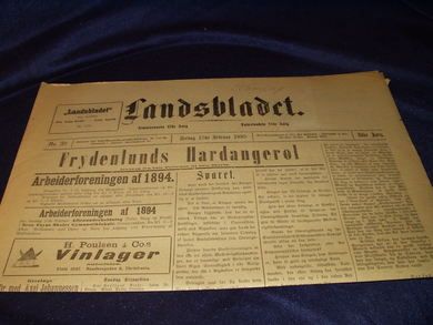 1895 nr 039 Landsbladet