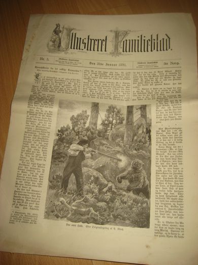 1891 nr 005 Illustreret Familieblad