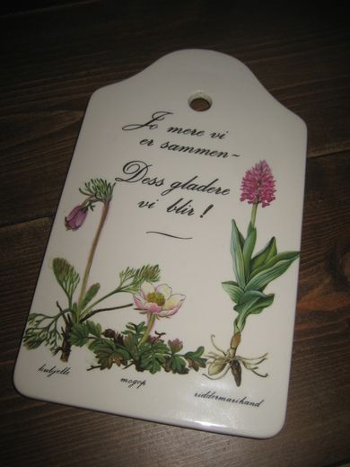 Pyntebrikker til kjøkkenet? Ca 25 cm høg