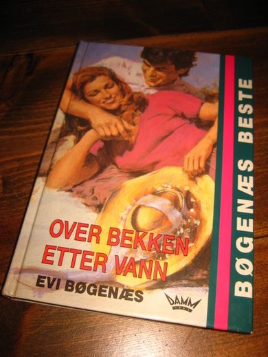 BØGENES EVI: OVER BEKKEN ETTER VANN 1990