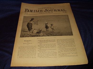 1893 nr 042 Illustrert Familie - Journal