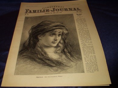 1895,nr 024, Illustrert Familie - Journal