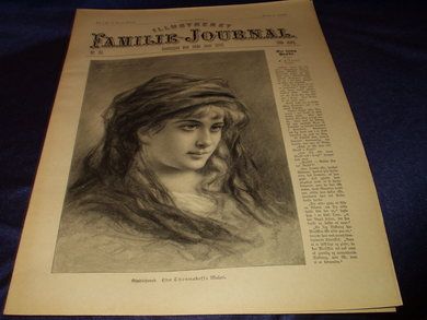 1895 nr 024 Illustrert Familie - Journal