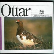 1988,nr 004, Ottar. Rype.