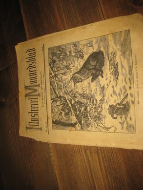 1900 nr 011 Illustrert Maanedsblad