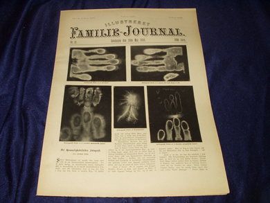 1896 nr 019 Illustreret Familie Journal