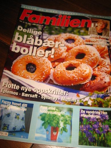 2004 nr 016 Familien