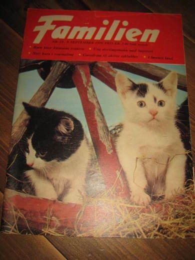 1970 nr 019 Familien