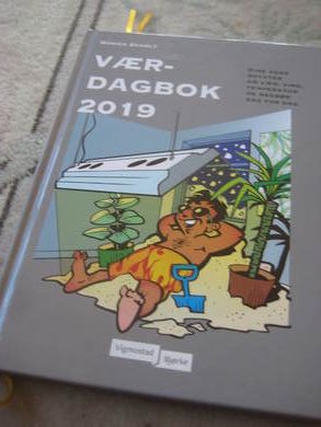 EKHOLT: VÆR DAGBOK 2019