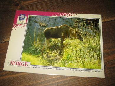 044 LOOC 1991 Elgen- skogens konge