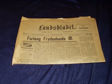 1894 nr 041 Landsbladet