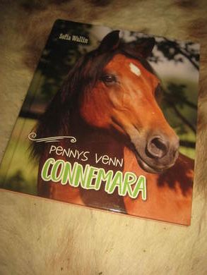 CONNEMARA 2019
