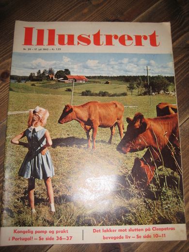 1963 nr 029 Illustrert