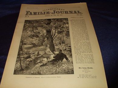 1895 nr 025 Illustrert Familie - Journal