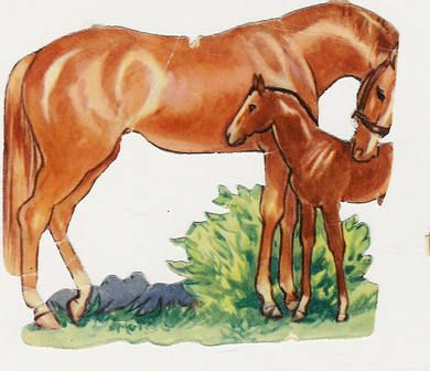Hest med føll