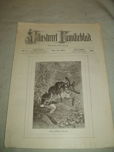 1894 nr 019 Illustrere Familieblad