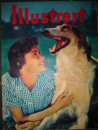1955 nr 036 Illustrert